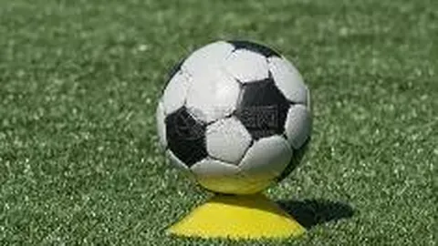 “芜湖湾沚区重金属环境安全隐患排查评估与整治项目招标询价通知”